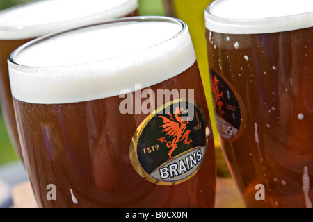 Birra di cervelli di vetro con una pinta di birra Wales UK Foto Stock