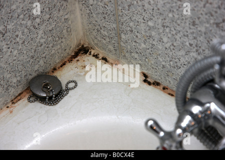 La muffa nera sulle piastrelle e su una vasca da bagno in un bagno Foto Stock