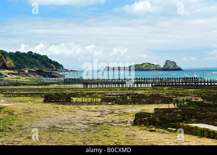 Ostriche a bassa marea a Cancale Bretagna Francia Foto Stock