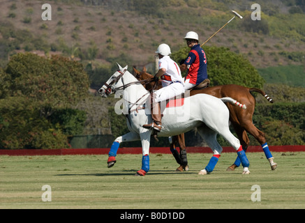 Due giocatori di polo a cavallo Foto Stock