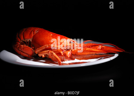 Astice sulla piastra isolata su sfondo nero Foto Stock