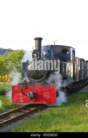 Le strette guage Gelert motore tirando un treno su il Welsh Highland Railway a Porthmadog Gwynedd Wales UK Foto Stock