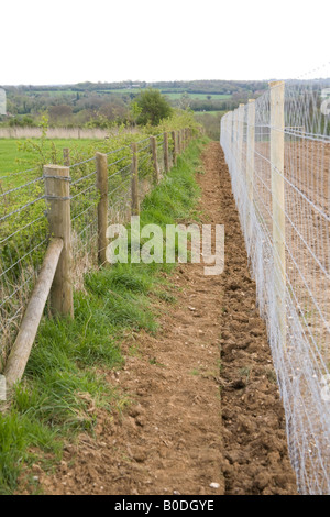 Il cervo e il coniglio recinto di prova, Hampshire, Inghilterra. Foto Stock