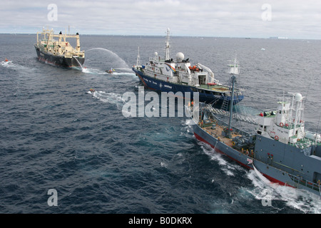 Greenpeace ostacolano il lavoro del giapponese flotta baleniera, Oceano Meridionale, 2005 Foto Stock