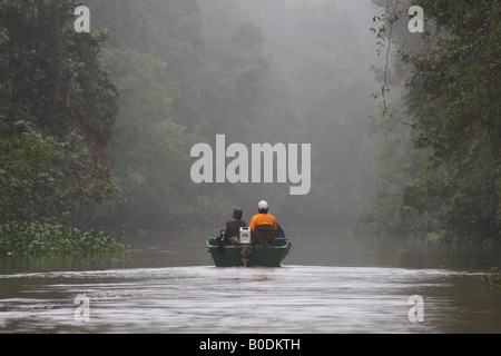 I turisti tenendo gita in barca lungo il fiume nella giungla, Sukau, Sabah Malaysian Borneo Foto Stock