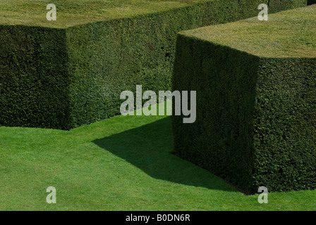 Tagliate le siepi in giardino formale Foto Stock