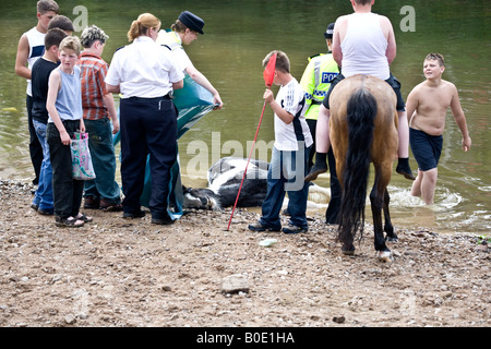 Horse annegamento Appleby Fair 2007 17 Foto Stock