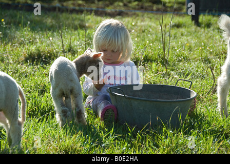 Foto di stock di due anni di vecchia ragazza seduta in erba giocando wth gli agnelli Foto Stock