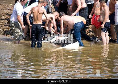 Horse annegamento Appleby Fair 2007 13 Foto Stock