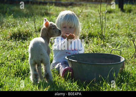 Foto di stock di due anni di vecchia ragazza seduta in erba giocando wth gli agnelli Foto Stock