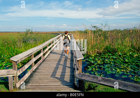 Un visitatore cerca per la fauna selvatica lungo una passerella attraverso il coccodrillo riempito marsh vicino alla sede dell'Everglades Foto Stock
