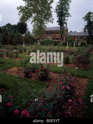 Vista del Palazzo dal Giardino delle Rose Foto Stock