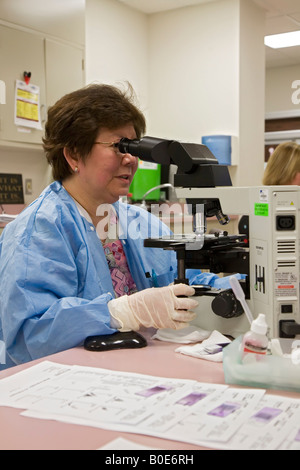 Medical technologist controlla i campioni di sangue di cellule anormali Foto Stock