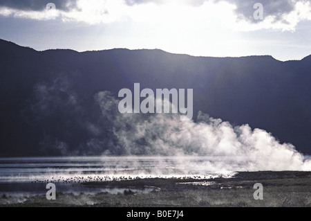 Il lago Bogoria nella Grande Rift Valley con sorgenti calde e getti di vapore all'alba Kenya Africa orientale Foto Stock