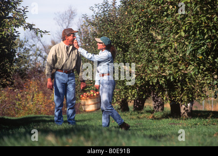 La donna condivide un Apple con il suo partner durante la raccolta di mele in un frutteto. Foto Stock