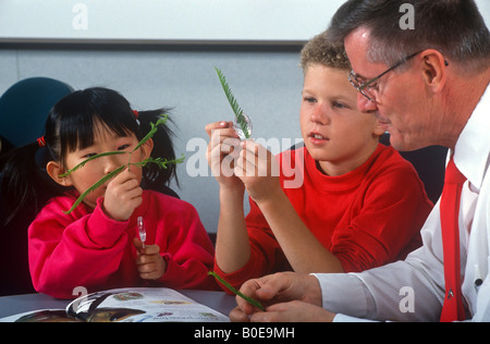 Ragazza asiatica e Caucasico boy piante di studio in aula con il loro maestro. Foto Stock
