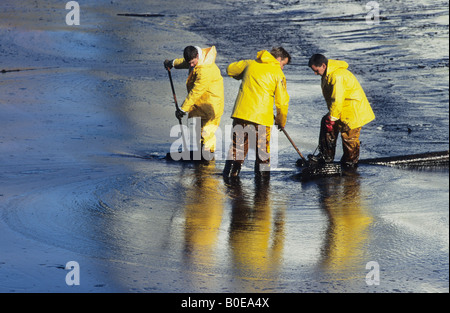 La pulizia di fuoriuscite di olio dall'inquinamento causato dalla Sea Empress tanker in Tenby harbour Galles Foto Stock