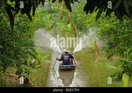 Samut Sakhon rose apple orchard, canal farming stile tailandese Foto Stock