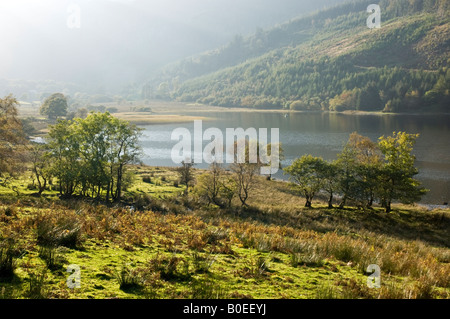 Llyn Crafnant - lago vicino Trefriw, il Galles del Nord - in autunno Foto Stock