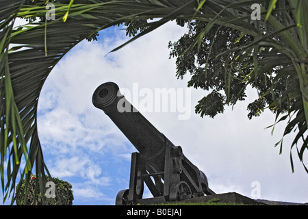 Il cannone a Fort King George Tobago Foto Stock