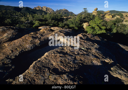 La roccia vulcanica buche tenere acqua a Chiricahua National Monument in Arizona, Stati Uniti d'America Foto Stock