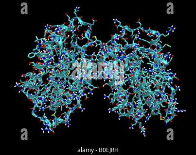 Generata al computer modello molecolare che mostra la struttura di cristallo di interferone umano beta Foto Stock