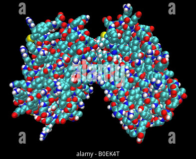 Generata al computer modello molecolare che mostra la struttura di cristallo di interferone umano beta Foto Stock