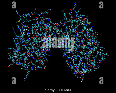 Generata al computer modello molecolare che mostra la struttura di cristallo di interferone umano beta Foto Stock