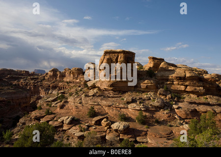 Big Spring Canyon Overlook aghi Distretto del Parco Nazionale di Canyonlands a sud di Moab Utah Foto Stock