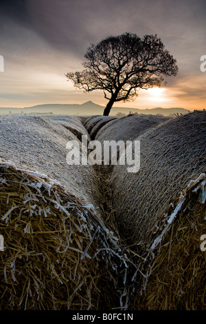 Roseberry Topping su gelido e nebbiosa mattina da tutta la Morton Carr Cleveland Inghilterra Foto Stock