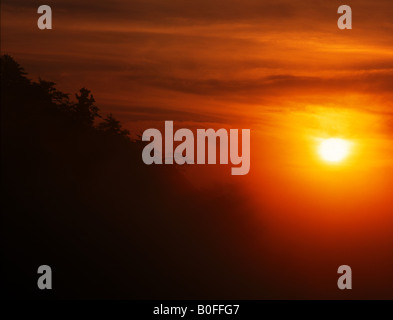 Sunrise attraverso la nebbia Foto Stock