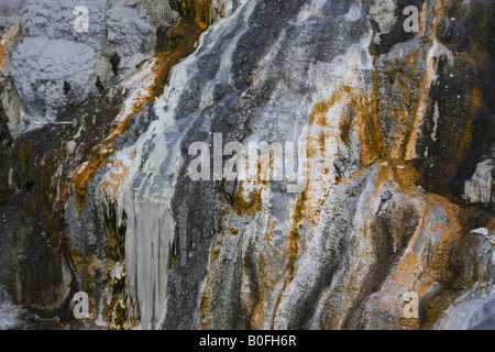 Close-up sul multicolore di silice e acido solforico rock superficie intorno Pohutu geyser di Whakarewarewa Thermal Valley, Rotorua. Foto Stock