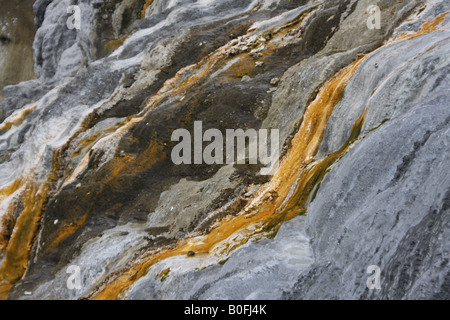 Close-up sul multicolore di silice e acido solforico rock superficie intorno Pohutu geyser di Whakarewarewa Thermal Valley, Rotorua. Foto Stock