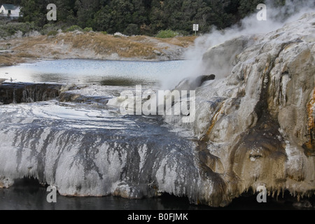 Piscine per la cottura a vapore e multicolore di silice e acido solforico terrazza intorno Pohutu geyser di Whakarewarewa Thermal Valley, Rotorua. Foto Stock