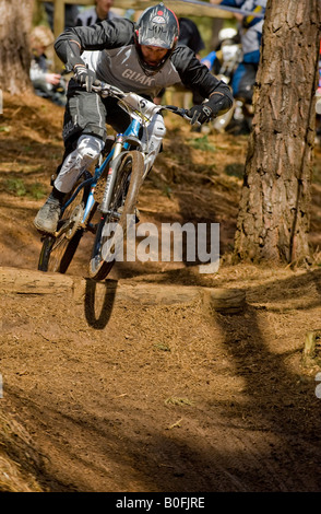 Mountain bike dirt jump trick stunt salto d'aria bmx mountain bike mtb BMX dirt jumper tira in acrobazie di alberi malati frusta sport giovanile Foto Stock