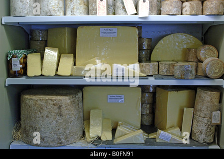 Selezione di formaggi Cheddar in vendita ina store in Cheddar Gorge Somerset Inghilterra Foto Stock