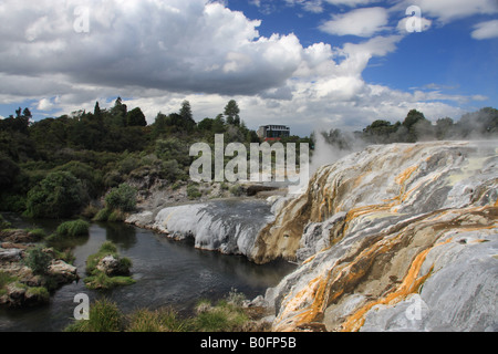 Piscine per la cottura a vapore e multicolore di silice e acido solforico terrazza intorno Pohutu geyser di Whakarewarewa Thermal Valley, Rotorua. Foto Stock