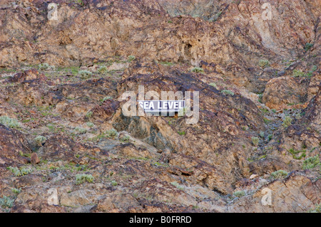 Segno sulla scogliera marcatura livello del mare a Badwater (punto più basso in noi) Parco Nazionale della Valle della Morte in California Foto Stock