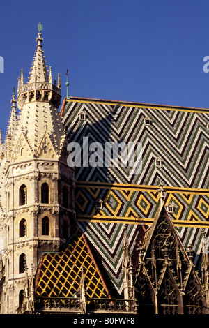Austria, Vienna, Stephansdom, cattedrale di Santo Stefano Foto Stock