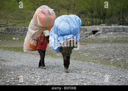 I facchini che trasportano carichi pesanti sul loro retro annapurna nepal Foto Stock