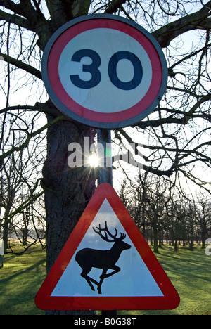 Cartello stradale che mostra 30mph limite di velocità e segnalazione di animali, del parco cervi di roaming, in bushy park, middlesex, Inghilterra Foto Stock