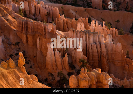 Sunrise, Parco Nazionale di Bryce Canyon, Utah Foto Stock