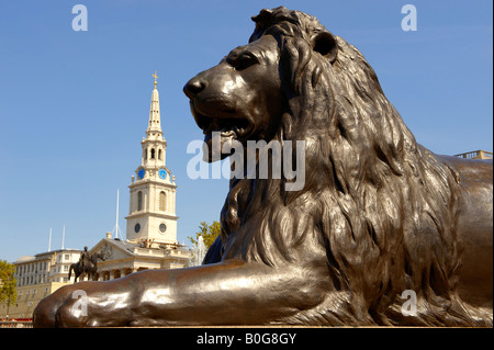 Lion statua con St Martins nel campo Trafalgar Square Londra Foto Stock