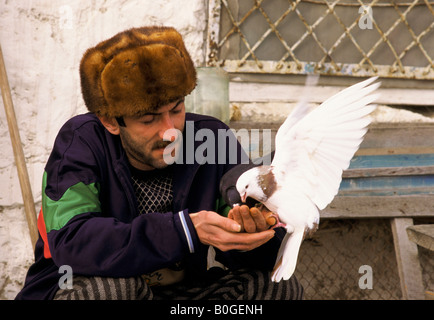Piccione di fantasia alimenta un piccione su un tetto, Baku, in Azerbaijan. Foto Stock