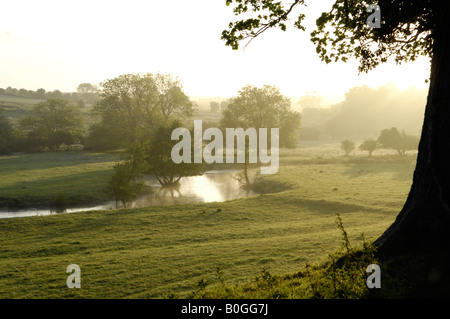 Il Fiume Windrush vicino Swinbrook, Swinbrook Burford Oxfordshire Inghilterra Foto Stock