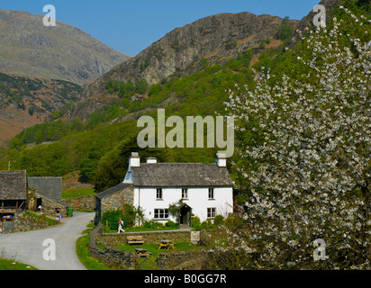 Yew Tree Farm vicino a Coniston, onced ownd a Beatrix Potter, Parco Nazionale del Distretto dei Laghi, Cumbria, England Regno Unito Foto Stock