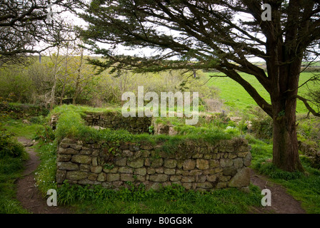 Antica cappella a Madron, vicino a Penzance, Cornwall, Regno Unito Foto Stock