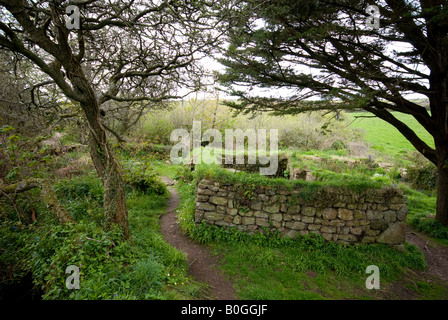 Antica cappella a Madron, vicino a Penzance, Cornwall, Regno Unito Foto Stock