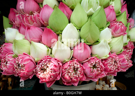 I grappoli di coloratissimi fiori di loto e gemme per la vendita in un tempio buddista, Thailandia. Foto Stock