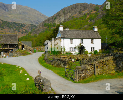 Yew Tree Farm vicino a Coniston, onced ownd a Beatrix Potter, Parco Nazionale del Distretto dei Laghi, Cumbria, England Regno Unito Foto Stock